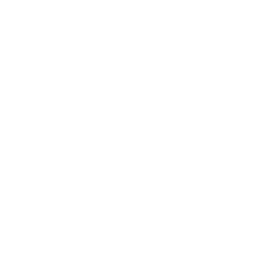 Orthotics icon