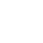 leg orthotics icon