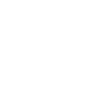 leg orthotics icon